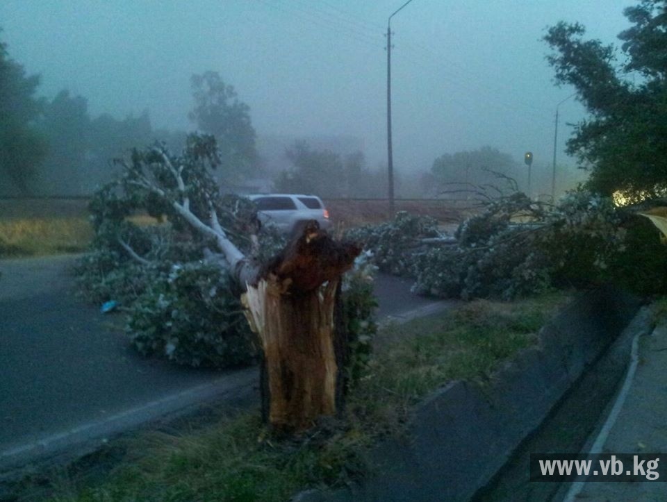 Ураган в Бишкеке. Столица переживает последствия