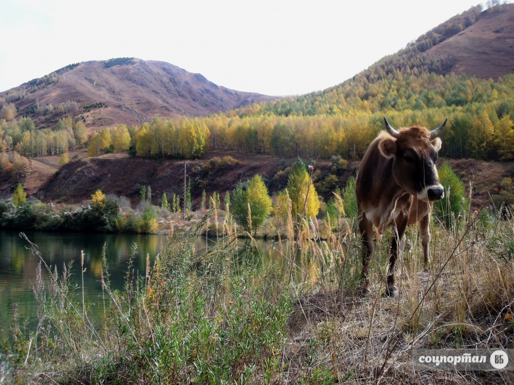 Путешествие по Кыргызстану: Чон-Кемин