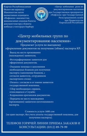 За год работы мобильных групп по документированию 46 инвалидов получили паспорта