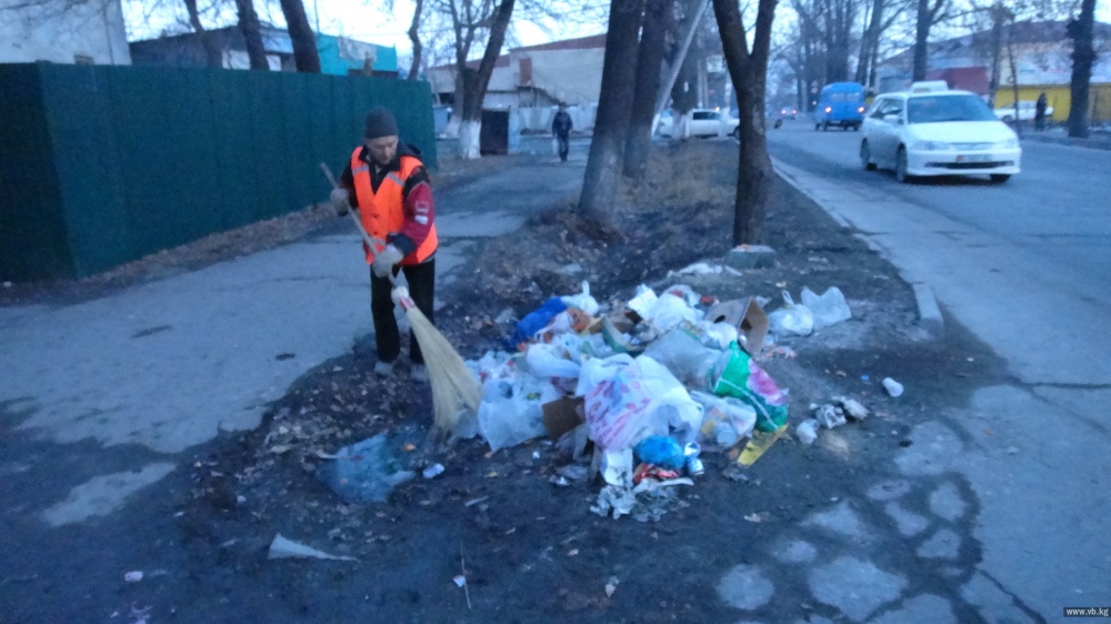 Корреспондент «ВБ» поработала один день мусорщиком