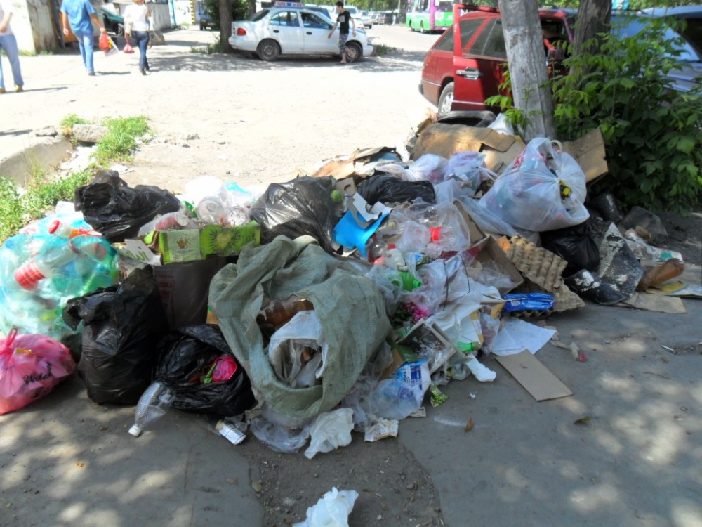 Мэрия развела на улицах города антисанитарию