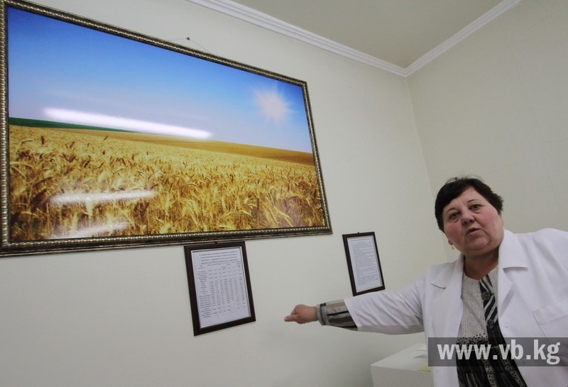 В Бишкеке открыли лабораторию по определению качества муки и пшеницы