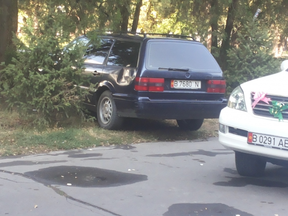 ГУВД игнорирует нарушение правил благоустройста
