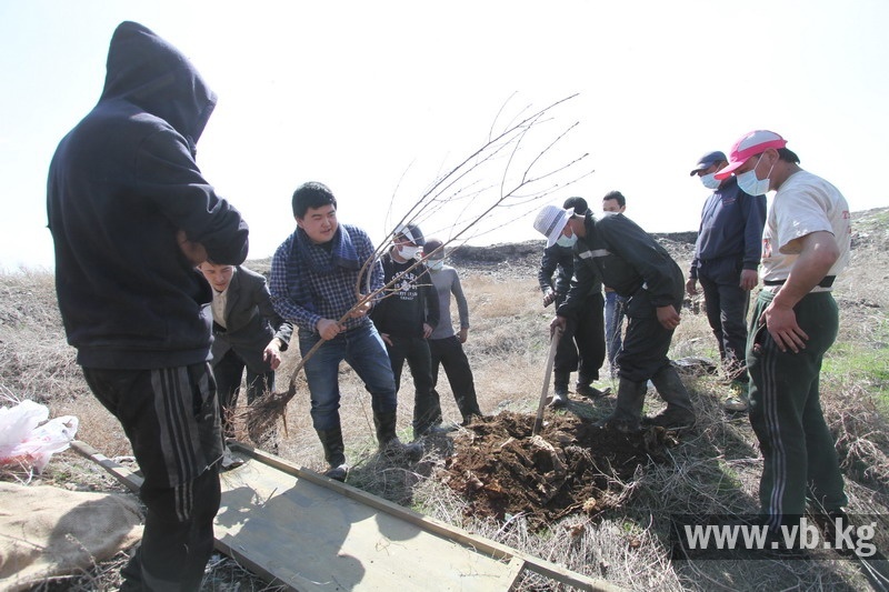 На городской свалке показали уличный спектакль