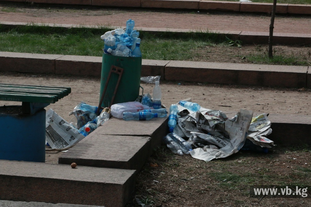 Вице-мэр оценил небольшое количество мусора после митинга
