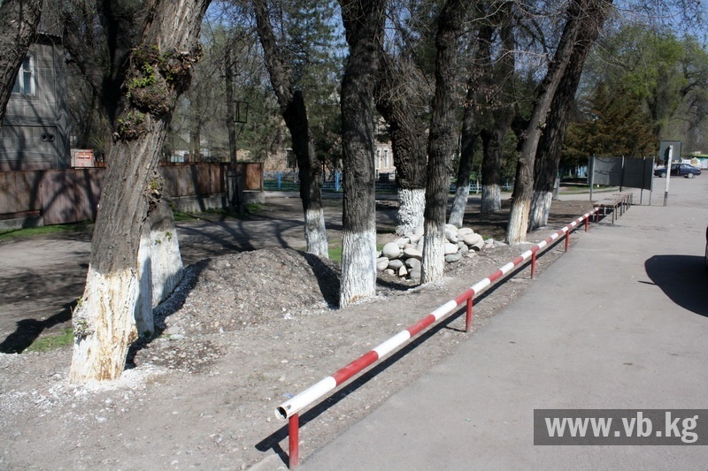 В Маевке жители выступают против строительства СТО в пользу магазина