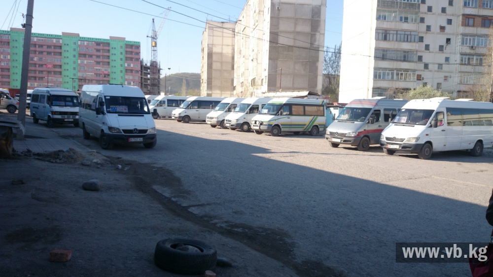 За два часа рейда на линию не выпустили 13 маршруток
