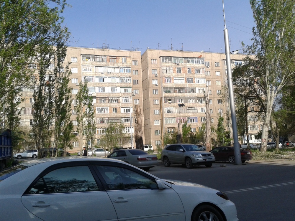 Почему на Ауэзова варварски обрезали тополя?