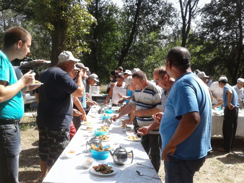 В Ысык-Атинском районе провели День поля