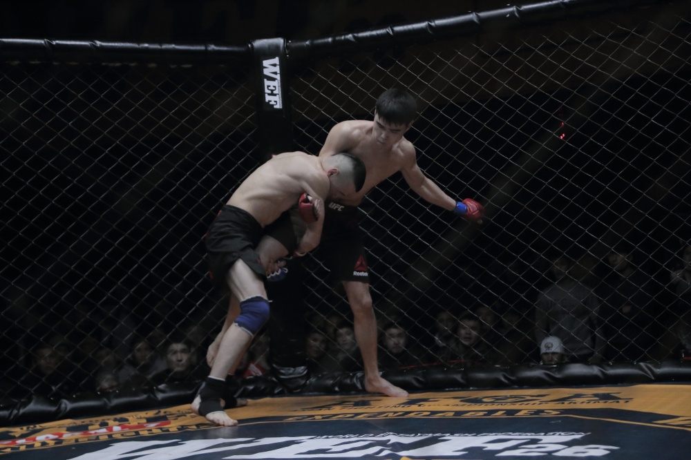 ММА: в рамках турнира WEF Proffight-14 в Бишкеке прошли 24 поединка