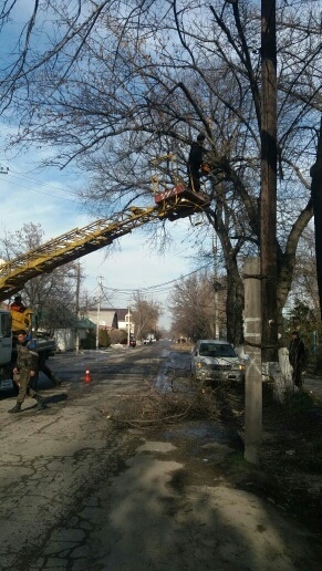 Зеленстрой: Весной поливная вода потечет по арыкам, а не по тротуарам