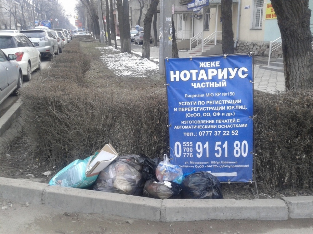 Нет совести. Медицинские отходы складируют на газоне у проезжей части улицы