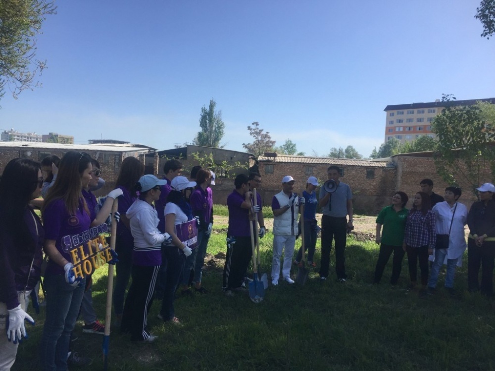 В рамках конкурса New Bishkek в столице посадили декоративные деревья