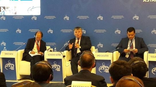 Кыргызстан придает большое значение участию в региональном проекте ЦАРЭС