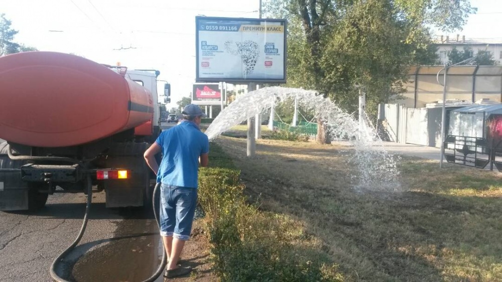 Бишкек не засохнет. Городские службы продолжают благоустройство столицы
