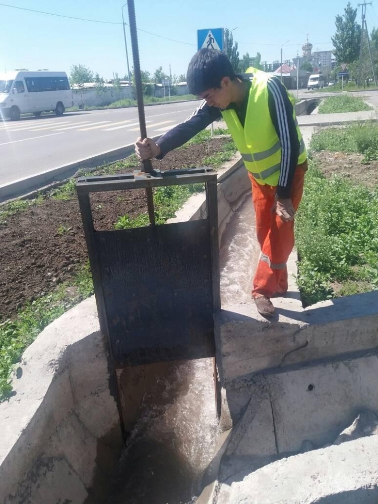 В Бишкеке начали поливать зеленые насаждения