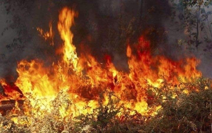 Греция в огне: сообщается уже о более 70 погибших