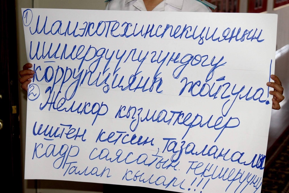 За что уволили пресс-секретаря Госэкотехинспекции Анару Мамбеталиеву?