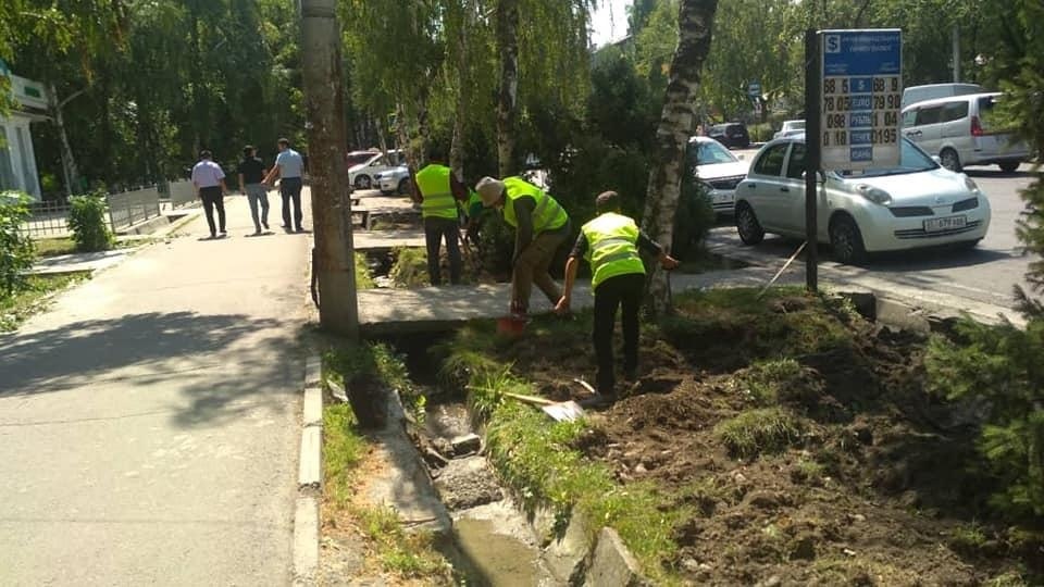 В Бишкеке обновляются газоны и живая изгородь