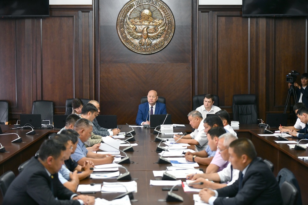 Өкмөт жолдо жүрүүдө айып пулду азайтуу боюнча ИИМ демилгесин колдоду