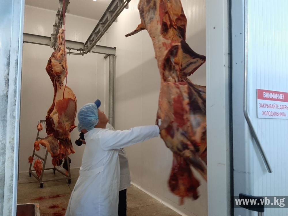 В Нарыне фермеров учат выпускать мясо по международным стандартам