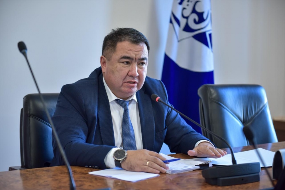 Вице-мэр Бишкека: Мы плохо следим за деревьями