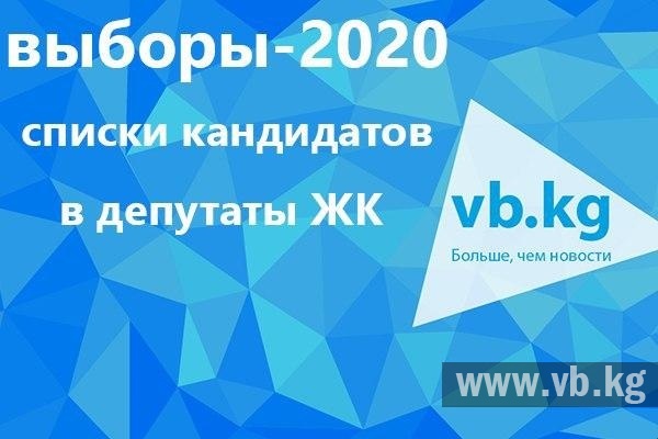 Список кандидатов в тамбовскую городскую думу 2020