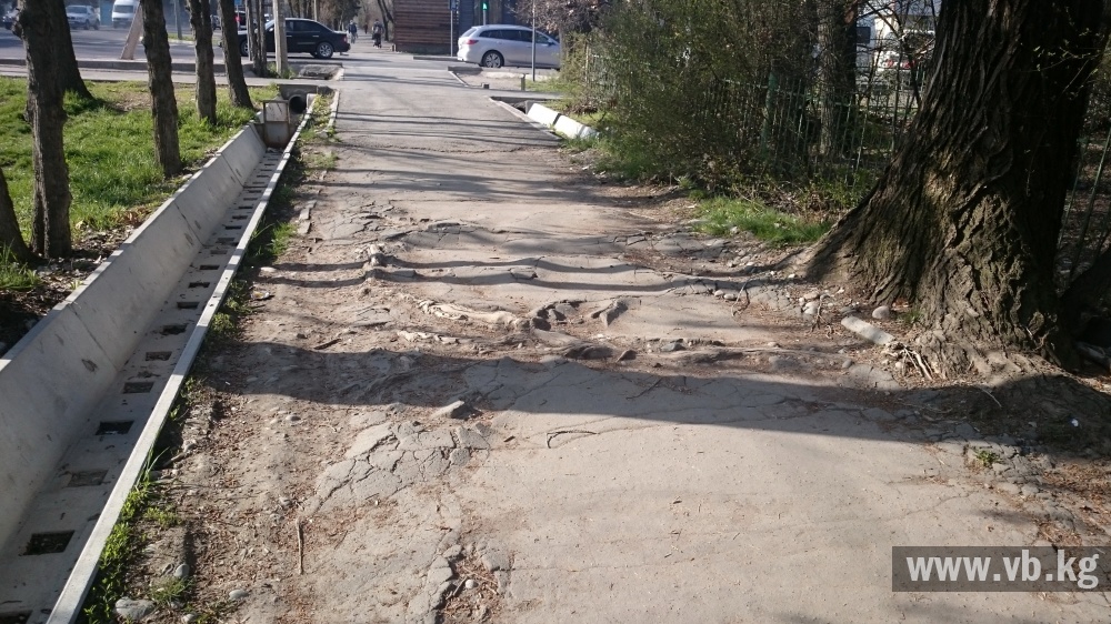 Тротуары Бишкека: в микрорайонах ситуация не лучше, чем в центре (фото)