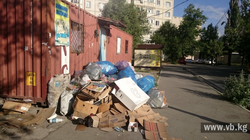 Куда смотрит мэрия? В центре 7 микрорайона устроили свалку