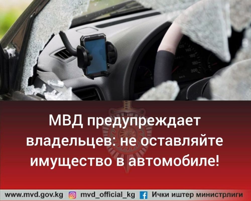 МВД дает советы автовладельцам, как избежать кражи имущества из машины