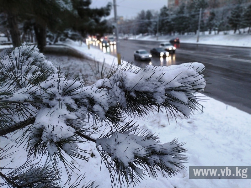 Прогноз погоды в Украине - | leon-obzor.ru