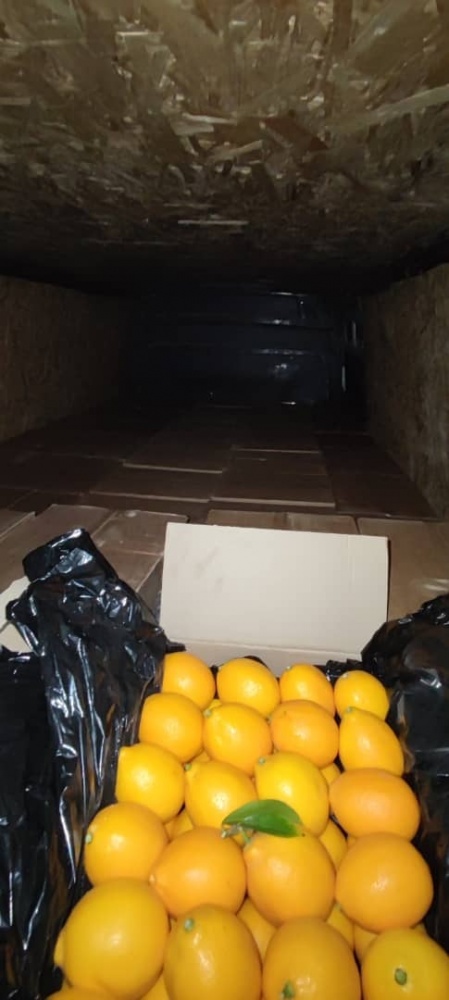В КР из Таджикистана контрабандой пытались завезти две тонны лимонов
