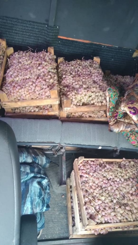 Пограничники КР пересекли незаконный провоз винограда в Таджикистан