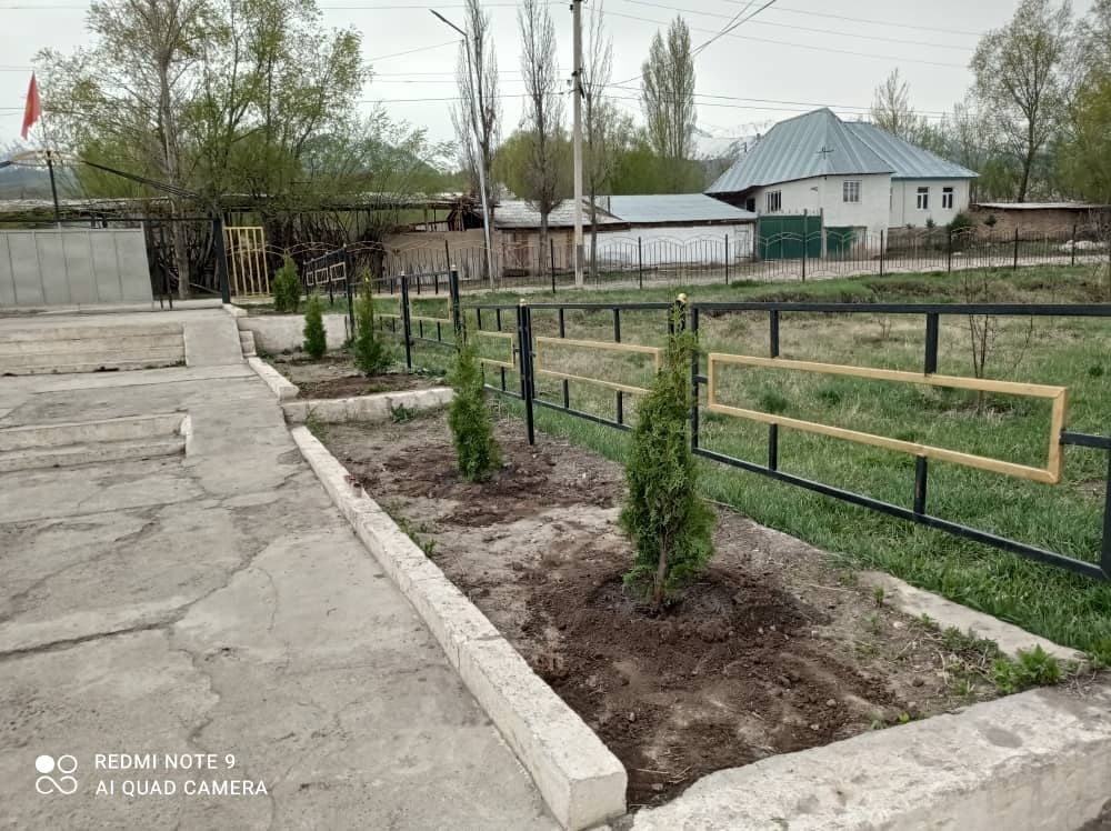 В селе Ичке-Жергез высадили аллею в честь участников войны