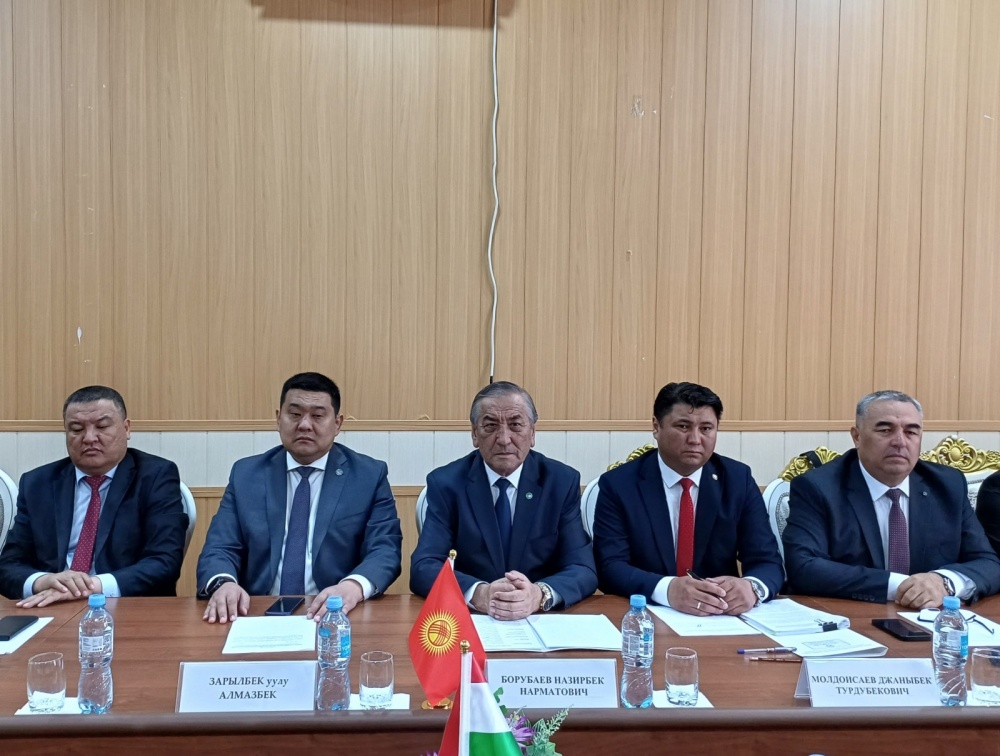 Состоялась встреча топографических групп Кыргызстана и Таджикистана