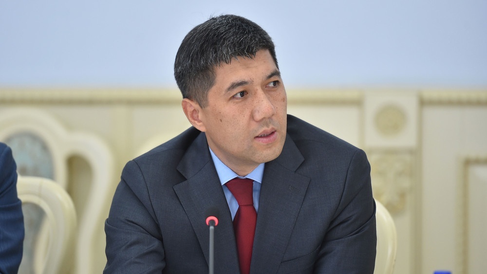 Мелис Тургунбаев освобожден от должности главы Минприроды КР