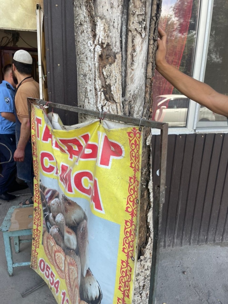 Мэрия Бишкека предупреждает, что деревья – не место для рекламы