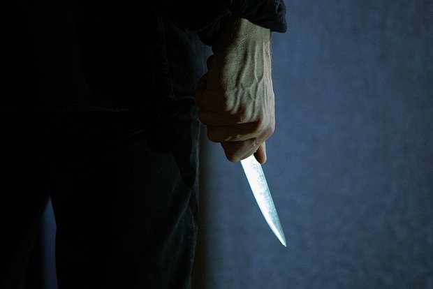 В Москве задержали гражданина Кыргызстана за нападение с ножом на жену