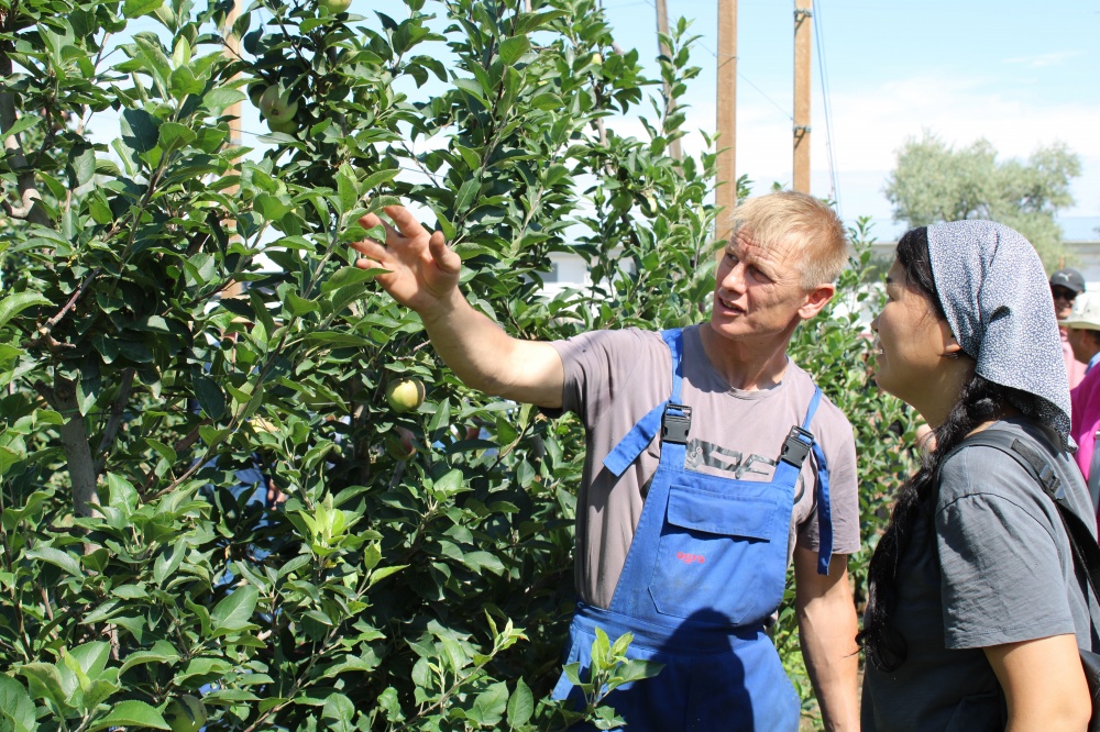 ФАО обучает фермеров Кыргызстана навыкам интенсивного садоводства