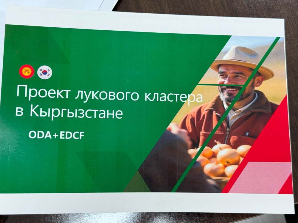 Кыргызстан и Южная Корея обсудили проект выращивания морозоустойчивого лука