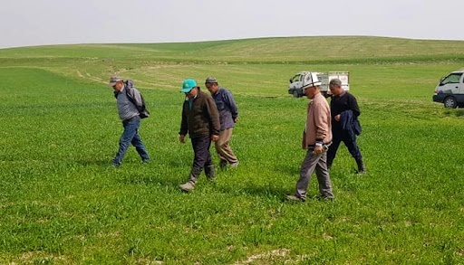 Для садоводов и фермеров Баткенской области проведут день поля