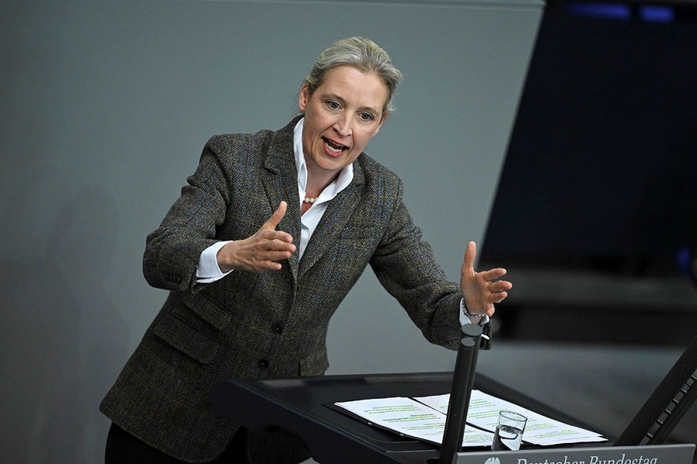 Алис Вайдель: Каждые 20 минут в Германии банкротится одна компания