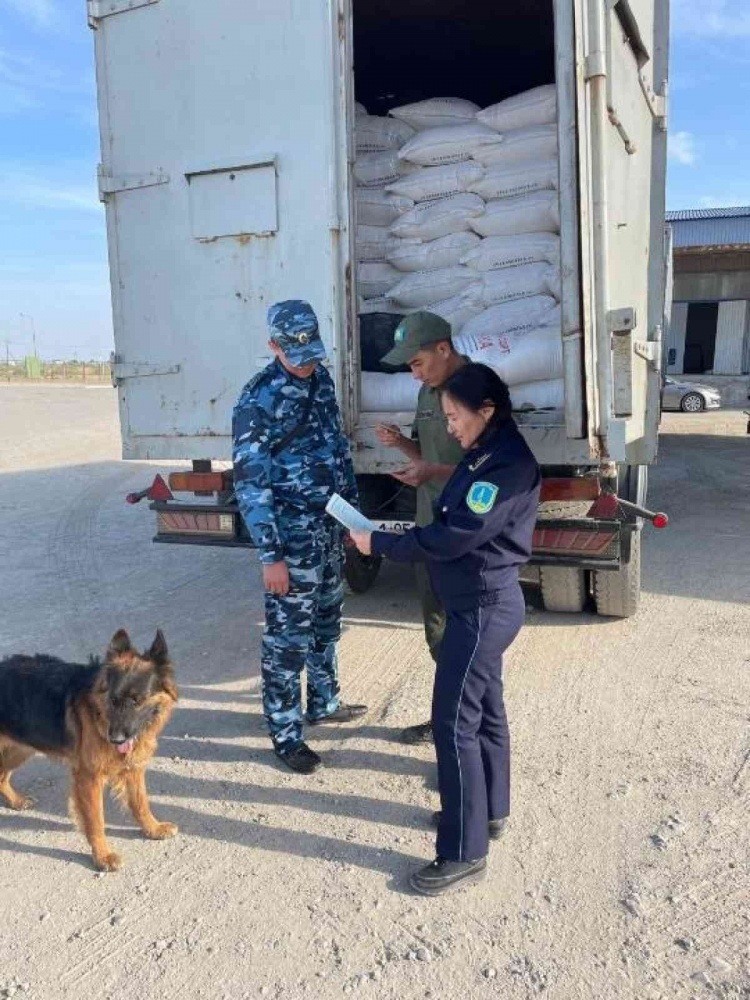 КНБ раскрыл схему вывоза артемии из Казахстана по документам Кыргызстана