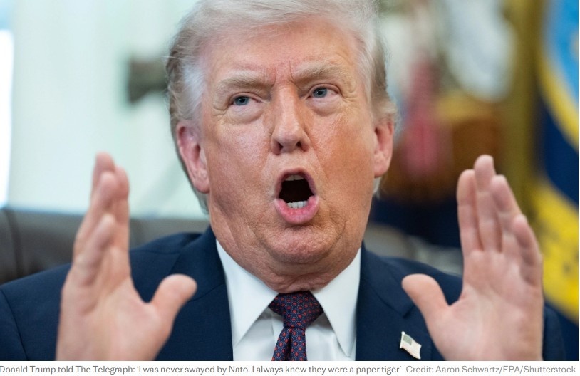 Дональд Трамп всерьез рассматривает возможность выхода США из НАТО