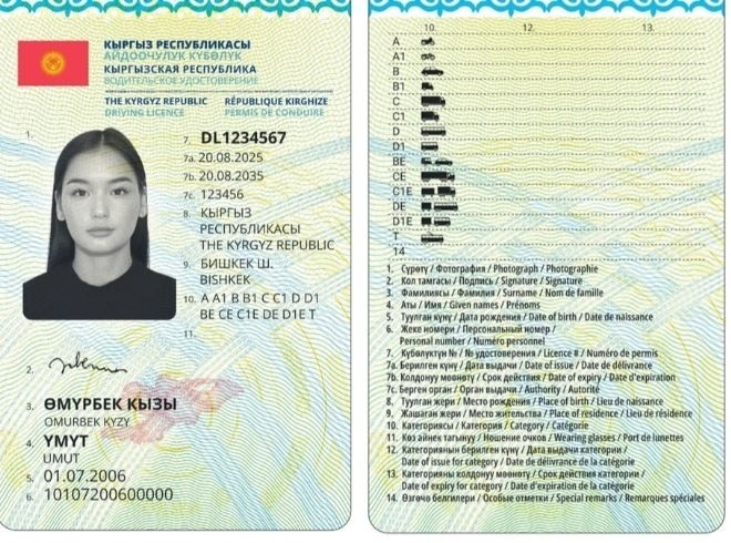 Садыр Жапаров: Новые права соответствуют международным требованиям