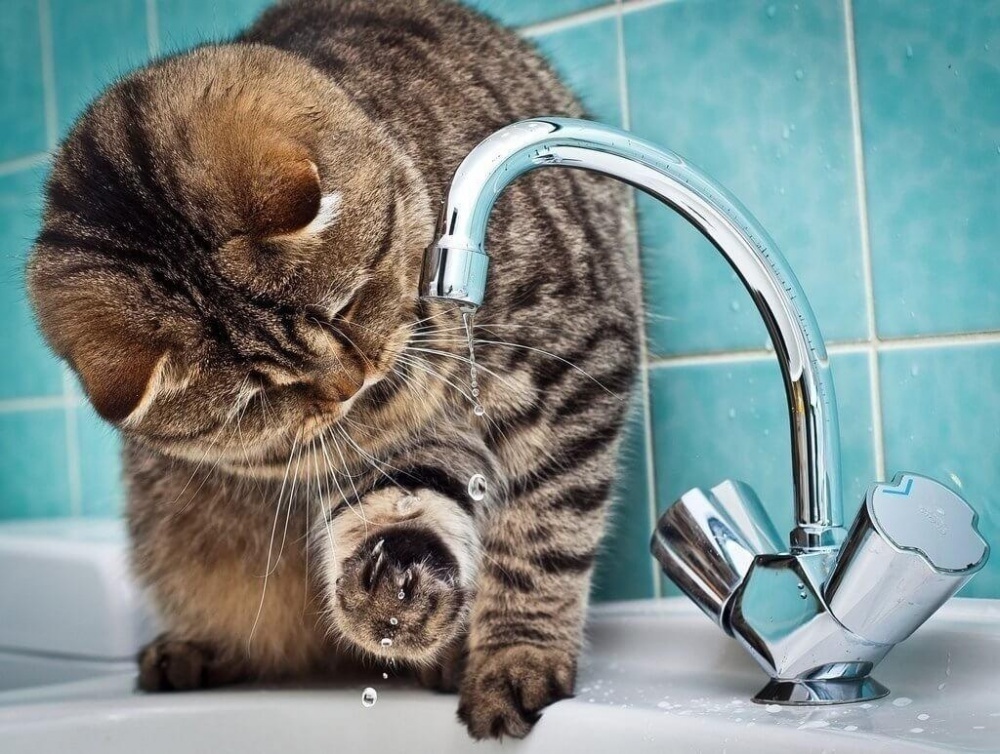 Где в Бишкеке отключат воду 21 апреля