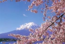 Саясатчылар үчүн өз күчүнө ишенүү ашыктык кылбайт