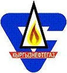 “Кыргызнефтегаз” салыктан 22 млн сомду жашырып койгон