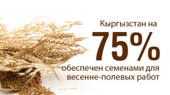 Обеспеченность КР семенами для проведения весенне-полевых работ составляет 75%