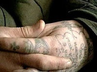 Курмантай Абдиев: Кылмыштуулуука каршы күрөшүү мыйзамын иштеп чыгуу керек